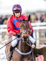 Race 3 - PPORA Club Members Novice Riders (20 of 75).jpg