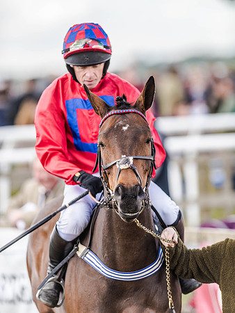 Race 3 - PPORA Club Members Novice Riders (20 of 75).jpg