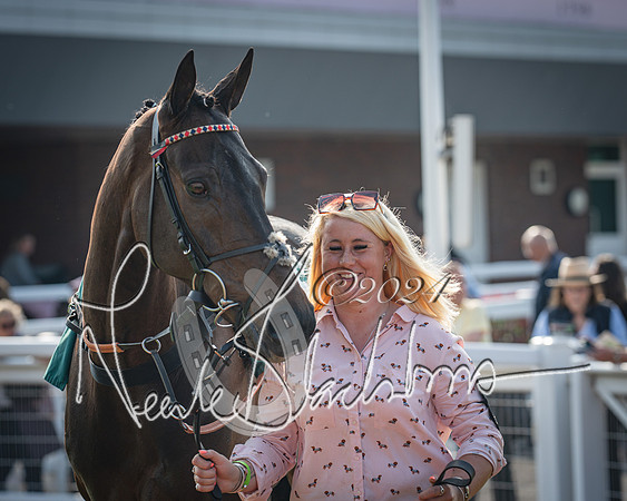 Race 2 - The Venatour sports travel intermediate point to point hunters’ steeplechase 5 year olds and over 3m2f (3 of 163)