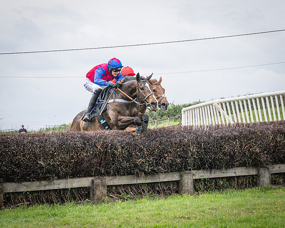 Race 2 - The Restricted race (48 of 84)