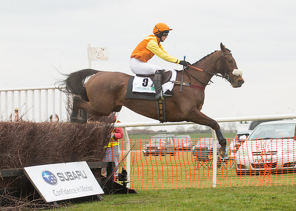 Race 6 - Confined Hunts-50