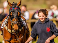 Race 5 - Mens Open [Nov-Vet] (19 of 68).jpg