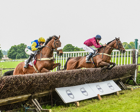 Race 2 - PPORA Members Novice Riders  (79 of 112).jpg