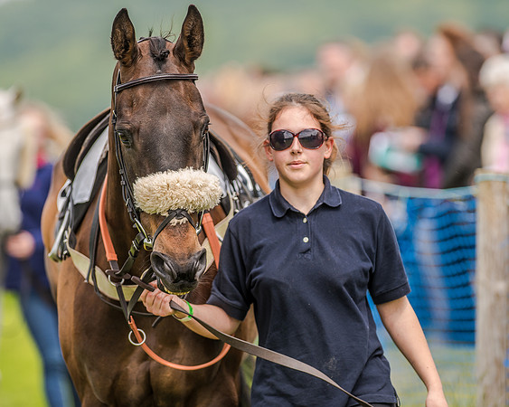 Race 2 - PPORA Members Novice Riders  (11 of 112).jpg