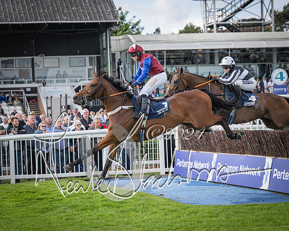 Race 2 - Olly Murphy Racing Stratford Ladies Open (77 of 111)