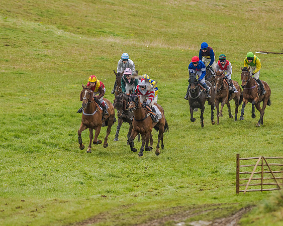 Race 5 - Restricted Race (44 of 146).jpg
