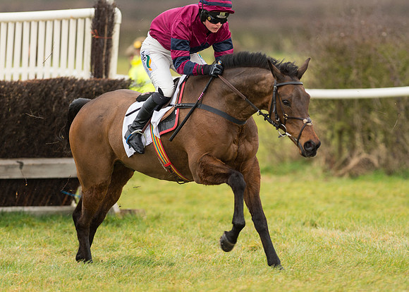Race 2 - Ladies Open (50 of 70).jpg