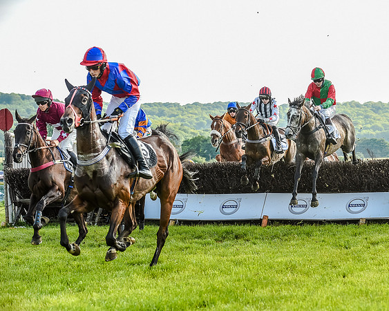Race 7 - Div 1 - Open Maiden (39 of 94).jpg