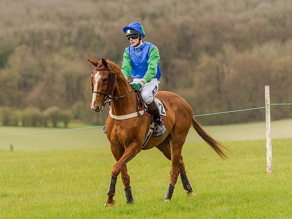 Race 2 - PPORA Club Members Conditions 2m5f (44 of 137).jpg