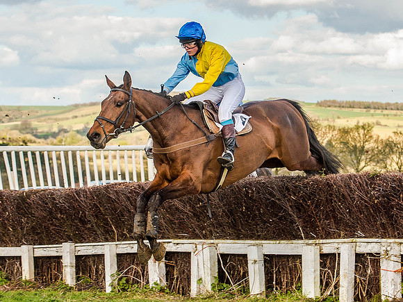 Race 6 - The Restricted Race [Nov-Vet] (43 of 84).jpg