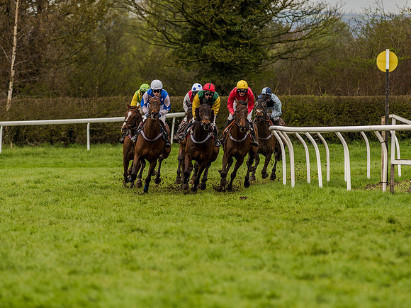 Race 1 - Confined Hunts (63 of 118).jpg