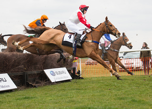 Race 6 - Confined Hunts-47