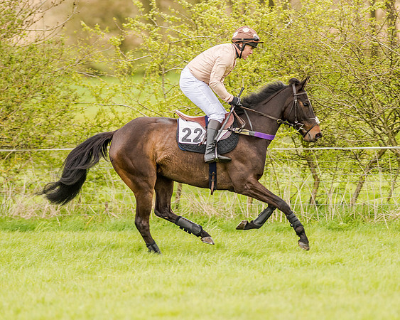 Race 2 - Open Maiden  (40 of 170).jpg