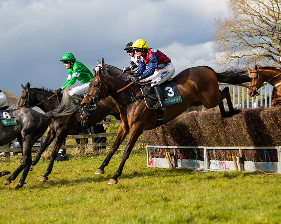 Race 5 - Restricted  (27 of 118)