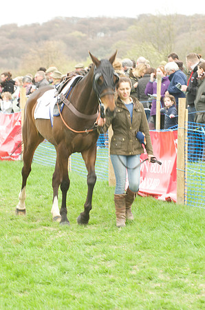 Race 4 - Nov-vets 4
