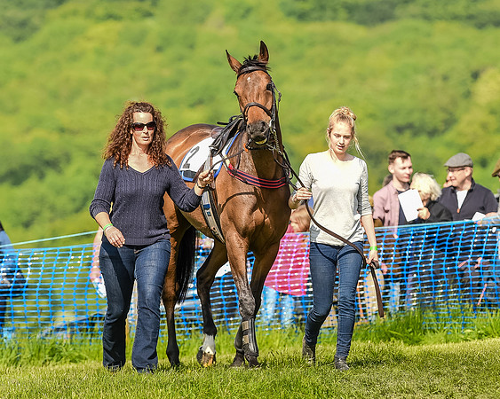 Race 5 - The Ladies Open  (7 of 133).jpg