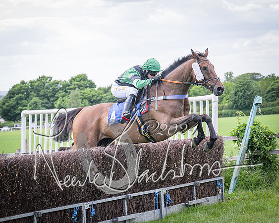 Race 4 - The Dickie Lim Mixed Open Race (63 of 101)
