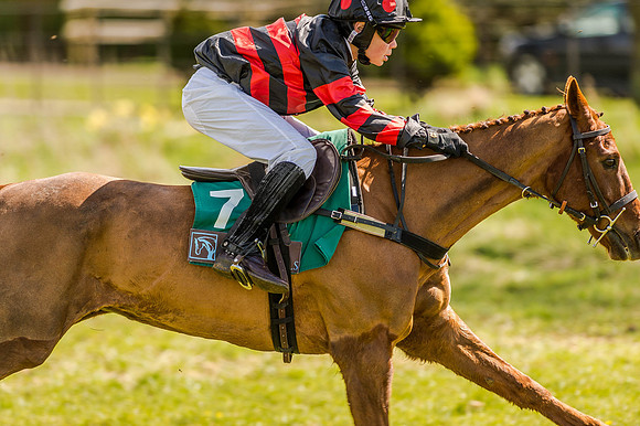 Pony Races (36 of 127).jpg