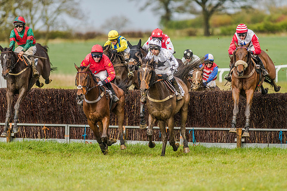 Race 5 - Open Maiden (94 of 147).jpg