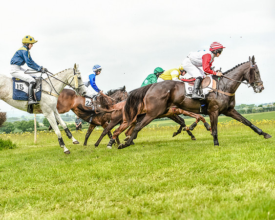Race 2 - PPORA Members Novice Riders  (57 of 112).jpg