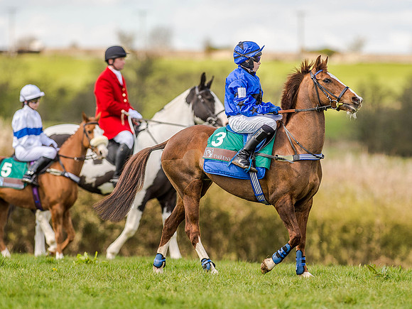 Pony Races (18 of 127).jpg