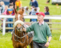 Pony Race 2 (8 of 57).jpg