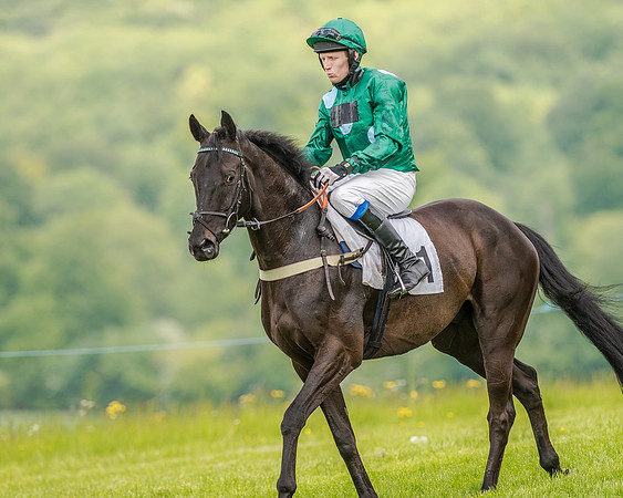Race 2 - PPORA Members Novice Riders  (28 of 112).jpg