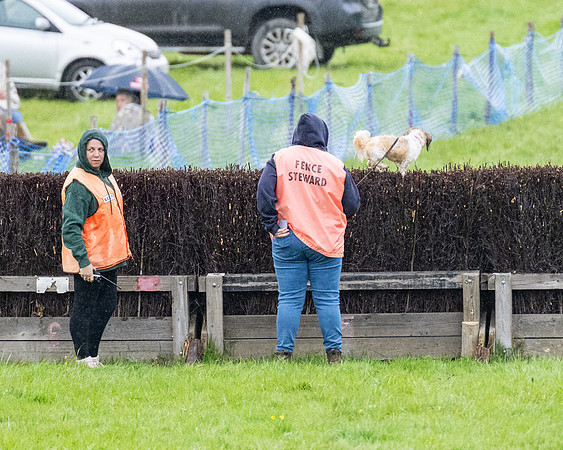 Race 8 - Bumper Div 2 (8 of 84)