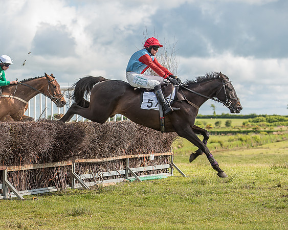 Race 6 - Open Maiden Race (39 of 71).jpg