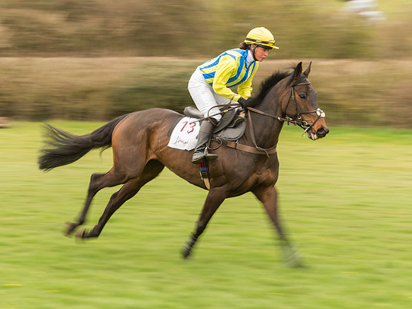 Race 7 - Open Maiden Division 2  (41 of 106).jpg