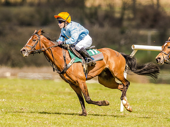 Pony Races (68 of 127).jpg