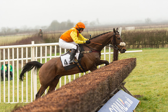 Race 1 - Confined Hunts (67 of 101).jpg