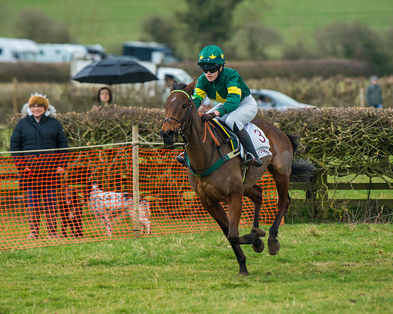 Pony Race 3 (56 of 67)