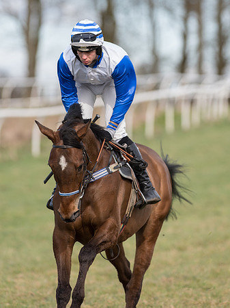 Race 5 - Restricted Race (53 of 120).jpg