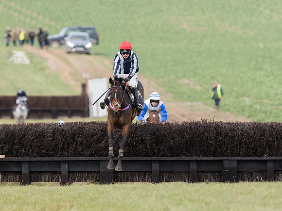 Race 5 - Restricted Race (83 of 120).jpg