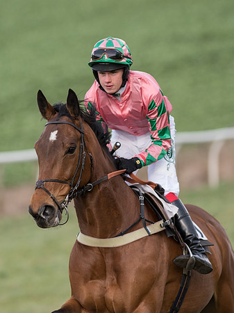 Race 6 - Open Maiden (32 of 110).jpg
