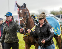 Race 5 - Open Maiden (13 of 147).jpg