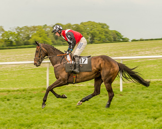 Race 5 - Intermediate Race (45 of 168).jpg