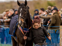 Race 2 - PPORA Club Members Conditions 2m5f (6 of 137).jpg