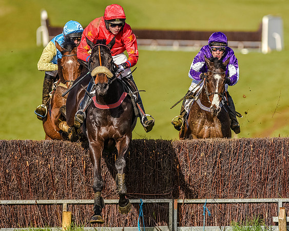 Race 7 - PPORA Club Members for Novice Riders (50 of 81).jpg