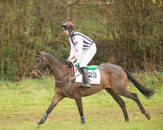 Race 5 - Open Maiden (52 of 147).jpg