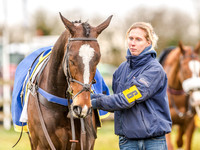 Race 6 - Open Maiden (7 of 96).jpg