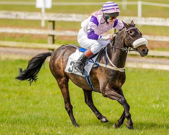 Pony Race 1  (38 of 65).jpg