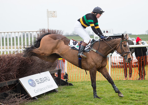 Race 7 - PPORA Novice Riders-76