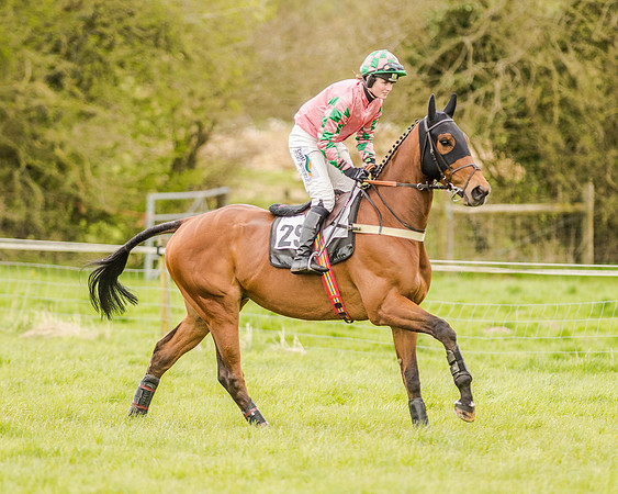 Race 2 - Open Maiden  (44 of 170).jpg