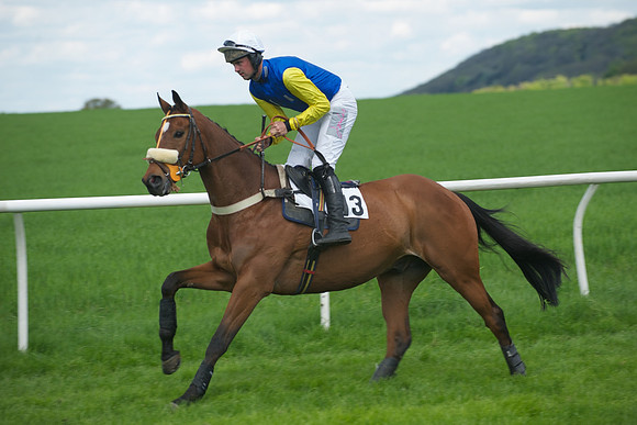 Race 2 -  30