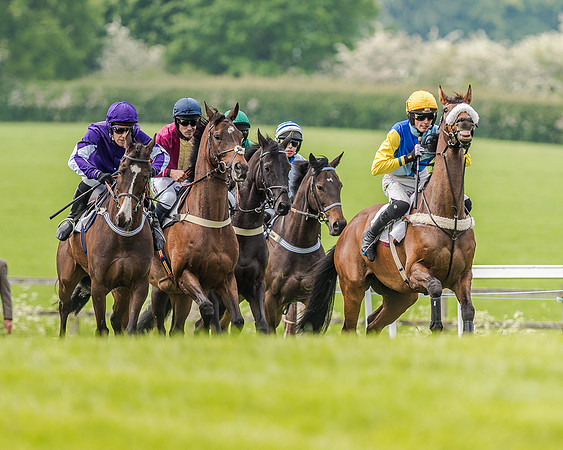 Race 2 - PPORA Members Novice Riders  (40 of 112).jpg