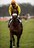 Race 6 - Confined Hunts-18