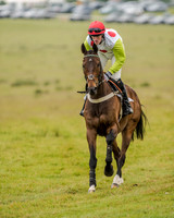 Race 2 - Open Maiden Race (2 of 80).jpg