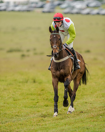 Race 2 - Open Maiden Race (2 of 80).jpg